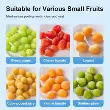 Fruit and Vegetable Peeler